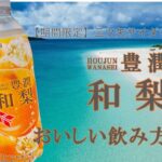 【期間限定】三ツ矢 豊潤和梨のおいしい飲み方
